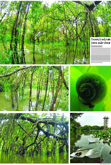 NN Photo, Design: Sakik Harun Baizid