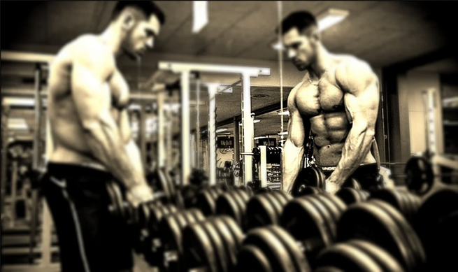 Testosterone Enanthate 250 mg Elbrus Pharmaceuticals – Wie zu kaufen